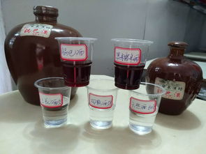 米酒白酒果酒梅子酒檸檬酒黃皮酒葡萄酒百香果酒捻子酒散裝瓶裝廠家直銷誠招代理批發